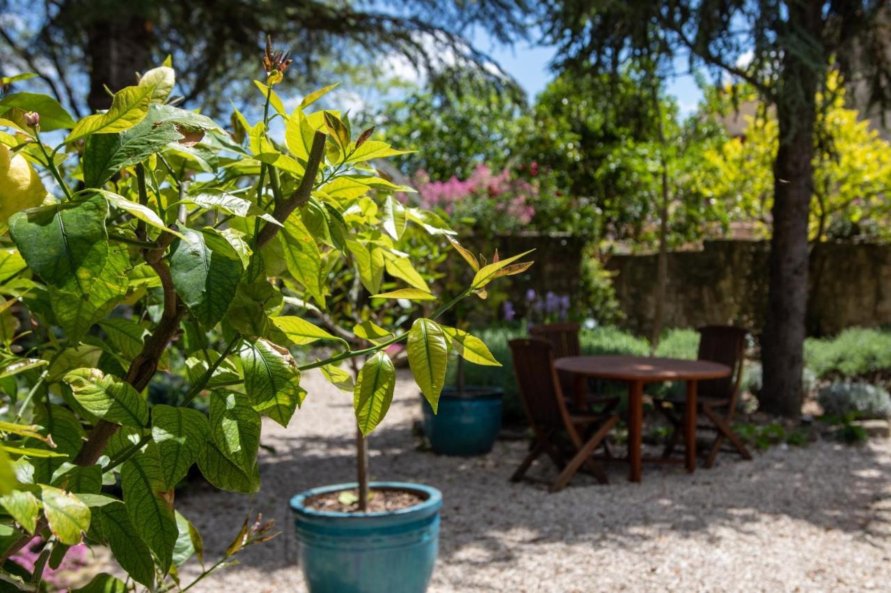 Le Jardin De Mazan Acomodação com café da manhã Exterior foto